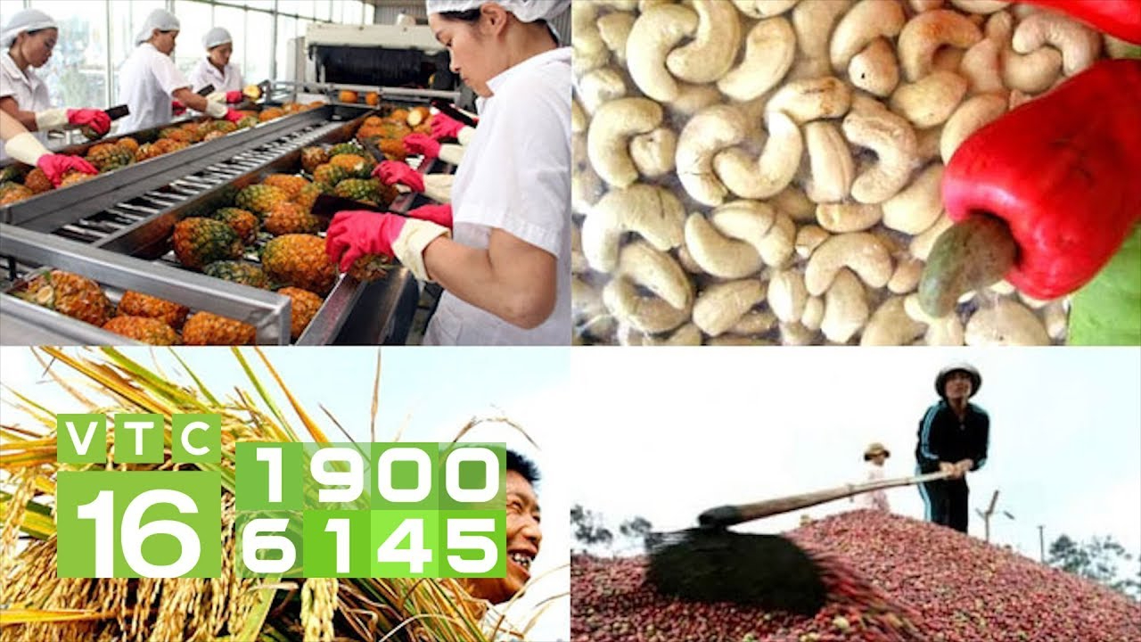 Video ngắn – Giải pháp truyền thông thông minh cho doanh nghiệp nhỏ